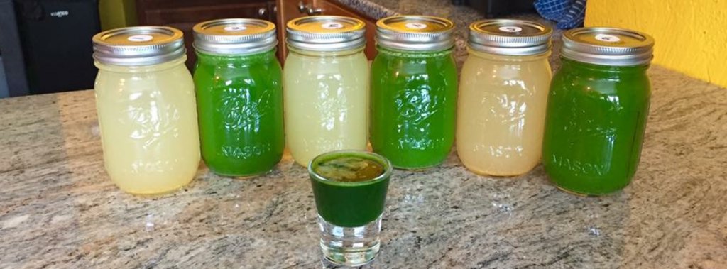 Six mason jars of cold-pressed green and citrus juice with a wheatgrass shot